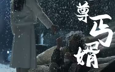 【热门短剧】至尊丐婿（91集）苏寰&王青青&吴梦媛 【都市/男频】-酱酱资源